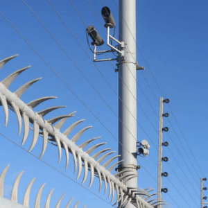seguridad 1