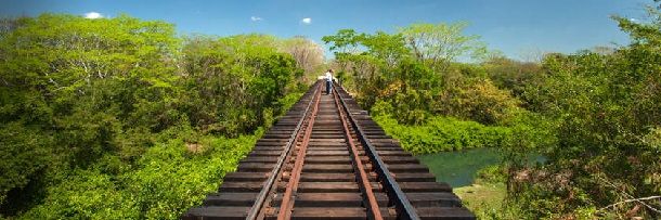 Tren Maya
