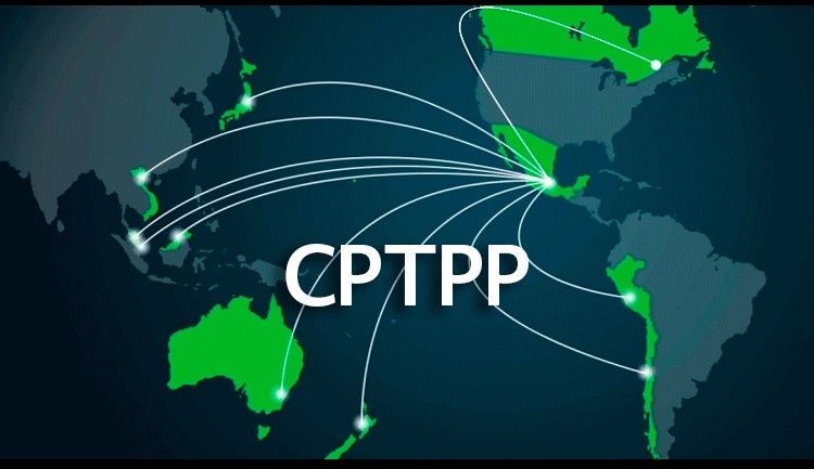 Sector automotriz en el TIPAT: apertura y regulaciones