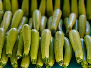 México lidera exportaciones de calabaza