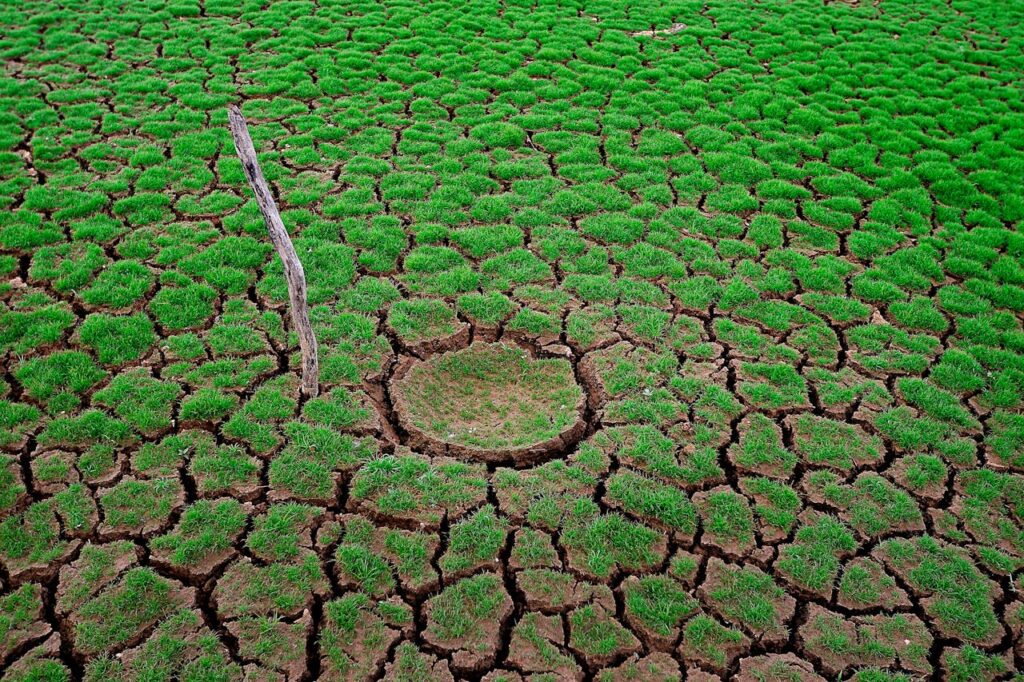 Crecen riesgos por cambio climático