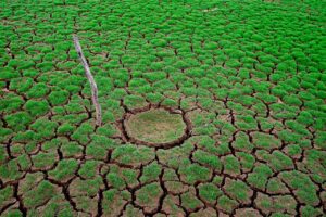 Crecen riesgos por cambio climático