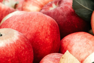 Apple consumption in Mexico: USDA projections