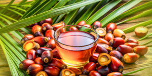 Industria de aceite de palma en Tabasco, México