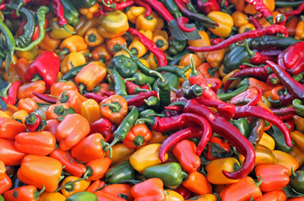 Sabores picantes en las cocinas del mundo