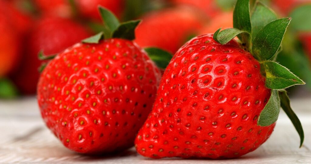 México exportó fresas a EEUU por US 643 millones en 2017; oportunidad de negocio
