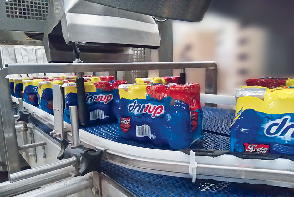 Danone: top 10 markets in the world