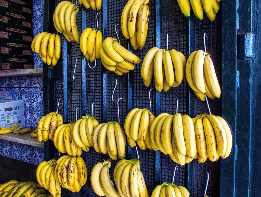 A Guatemala domina o maior mercado de exportação de bananas do mundo