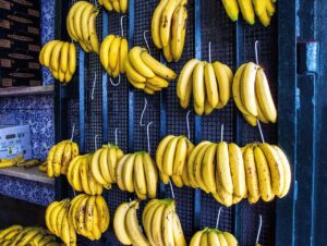 A Guatemala domina o maior mercado de exportação de bananas do mundo