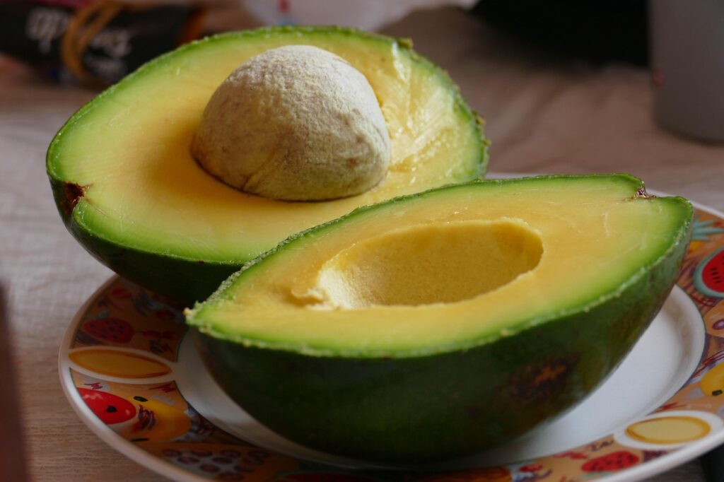 Avocado production in Mexico grew 6% in the 2019-2020 season