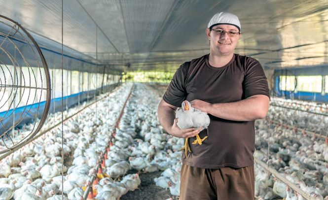 Transmission of the H5N1 virus through imported meat