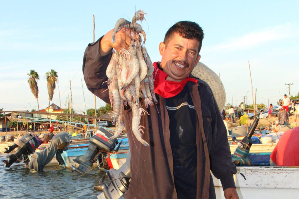 Mexico to amend regulations and laws on the fishing sector