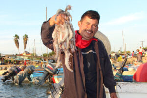 Mexico to amend regulations and laws on the fishing sector