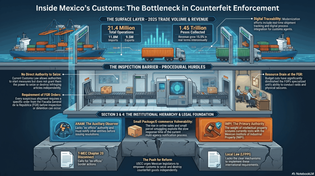 Customs Piracy Investigation