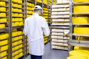 Operario con bata blanca inspecciona anaqueles metálicos de un almacén frigorífico industrial repleto de hormas de queso amarillo, verificando los protocolos de inocuidad y control térmico en derivados lácteos. Normativas de higiene y seguridad en el almacenamiento a baja temperatura.